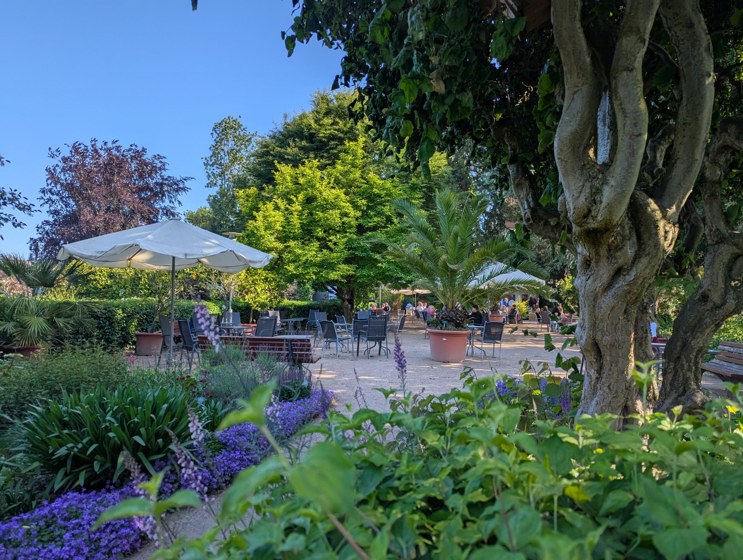Vorschaubild zum Video über den Schulgarten Lübeck
