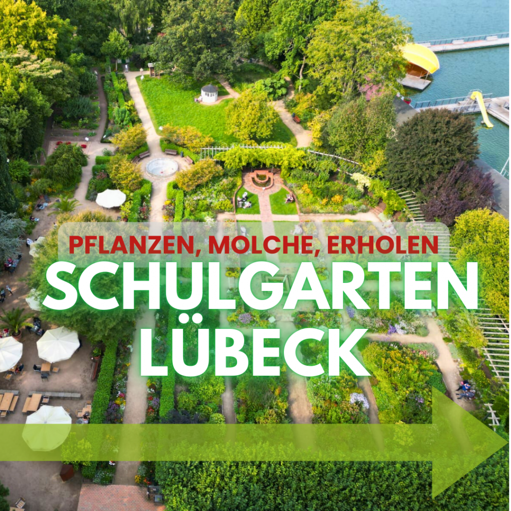 Wegweiser mit Link zu allen Informationen und den schönsten Bildern des Lübecker Schulgartens.