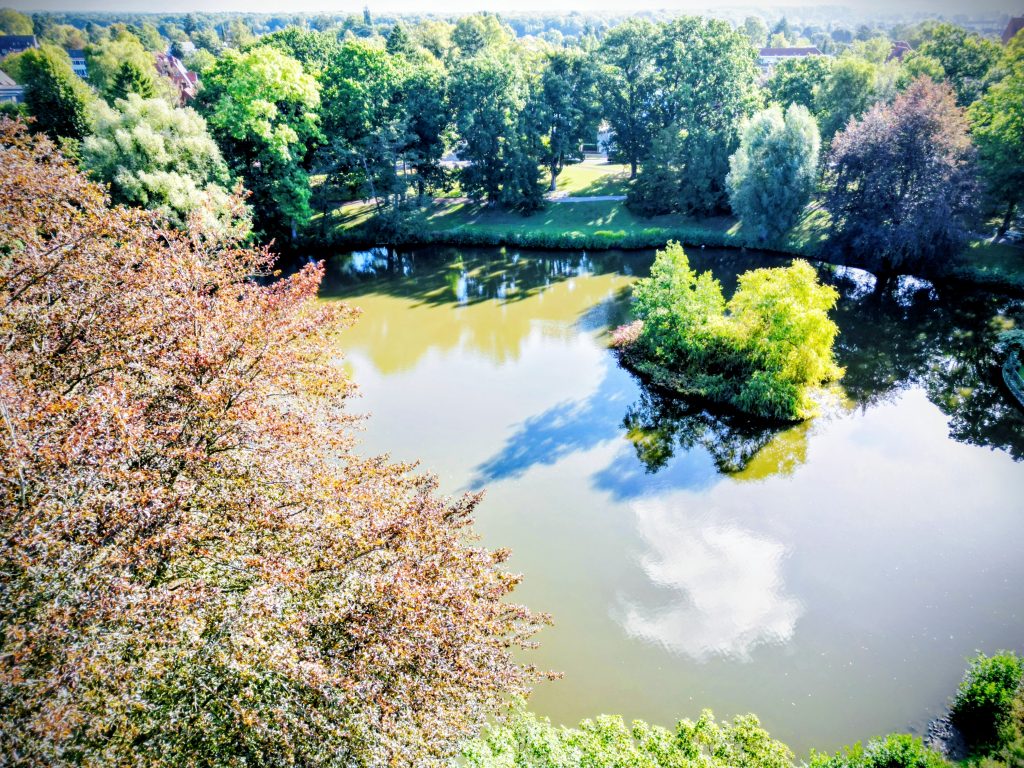 Großer Teich im Lübecker Stadtpark von oben, mit Insel