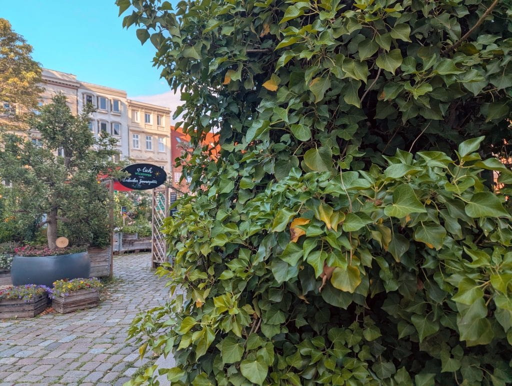 Sommergarten am Koberg, Eingang